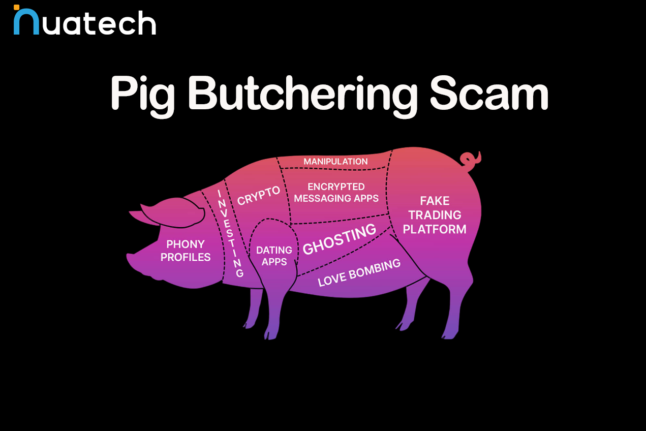 Pig Butchering Scam